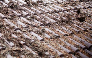 Bowring Park roof cleaning companies